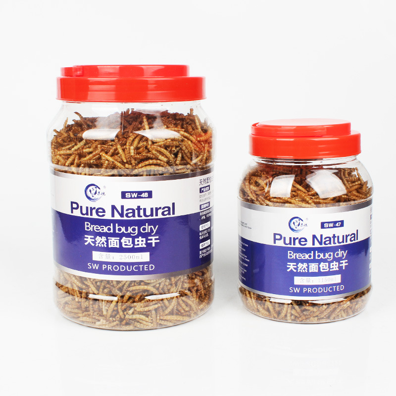 SW 멀티펫 곤충 간식 - 햄스터, 백색앵무새, 고슴도 - Krill Oil Supplement 리뷰 및 가격